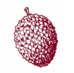 The Litchie lychee mark